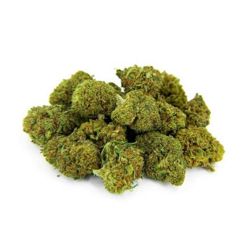 Petit tas de fleurs de cannabis compactes, vertes avec des reflets orangés.