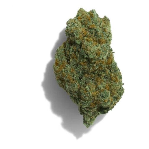 Une tête de chanvre vert, compacte et allongée, parsemée de pistils orangés.