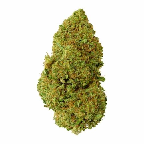 Gros plan sur une fleur California Kush THV, affichant une structure dense et compacte, aux teintes vert vif avec des reflets orangés et une couverture de trichomes cristallins.