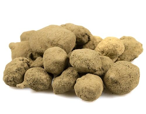 Moonrocks thv n10, petites boules recouvertes de pollen, à l’aspect poudreux et irrégulier.