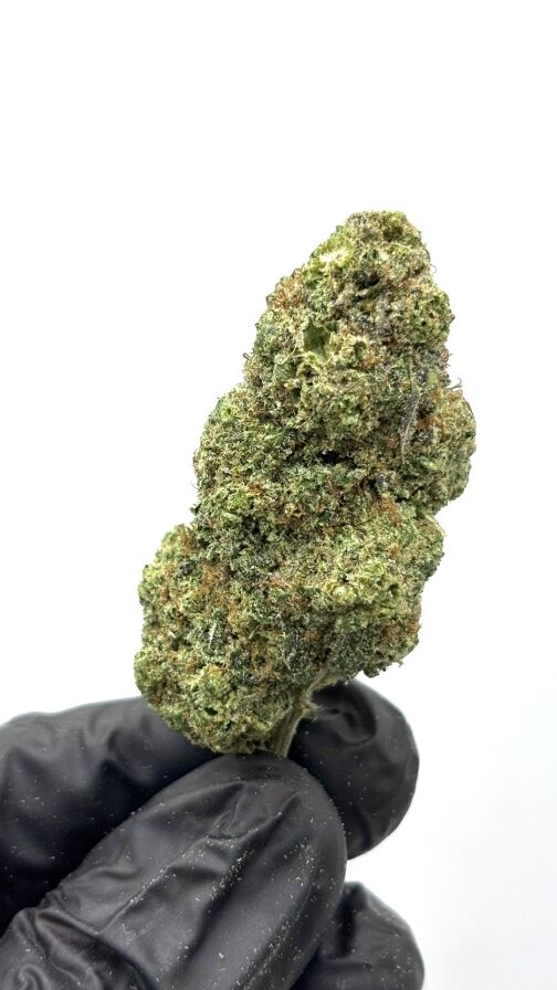 Fleur CBD Crystal Snow Hydro CBD+ 15% – visuel de buds givrés riches en trichomes