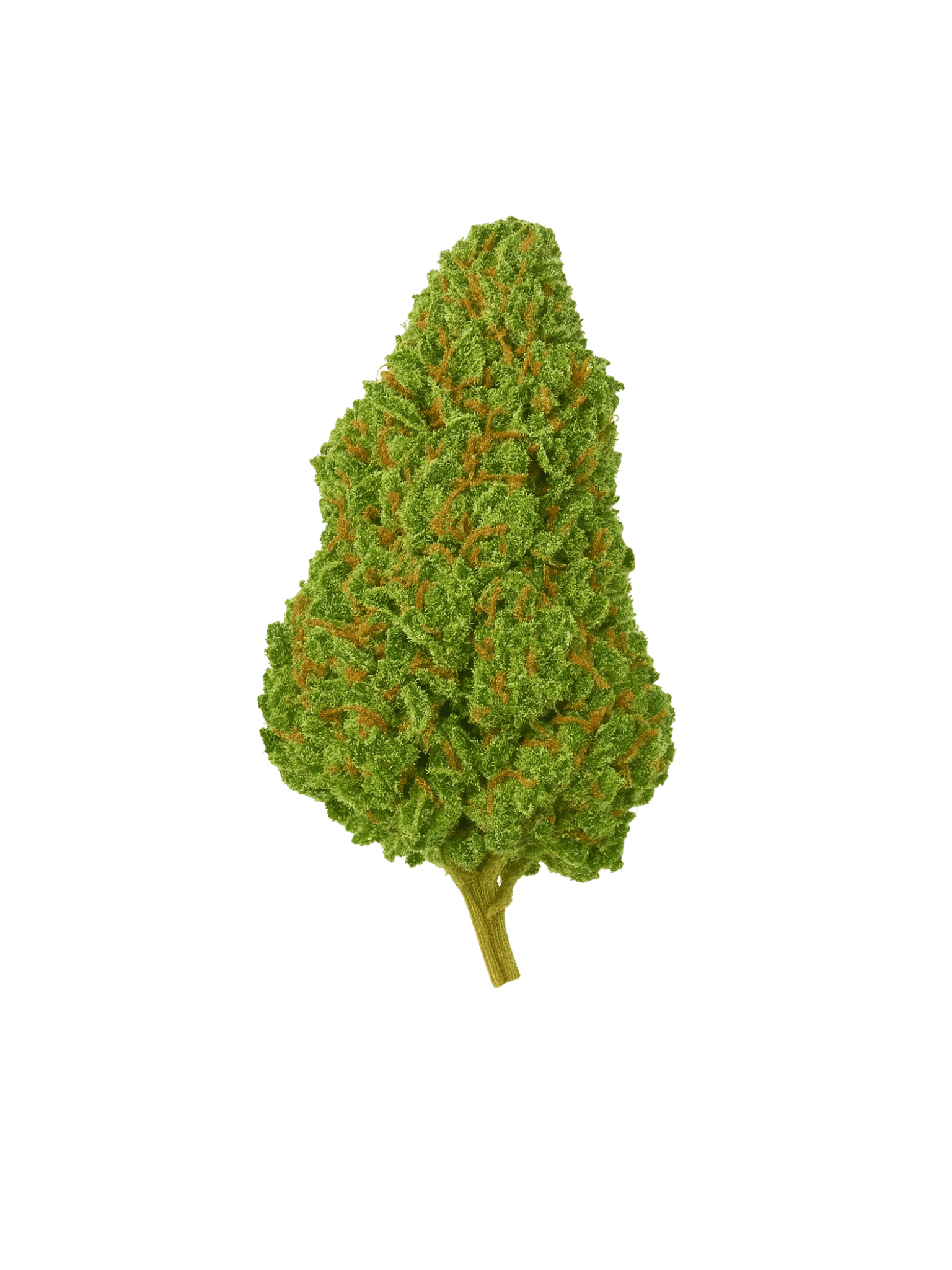 Photo de la fleur OG Kush CBDX, buds denses et verte eclatant sur fond blanc.