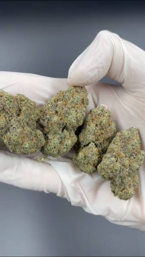 Blue Kush - Fleurs CBD – Image 2