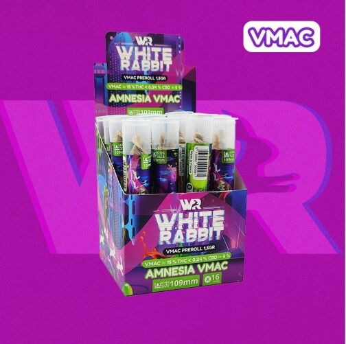 Preroll Amnesia VMAC 15