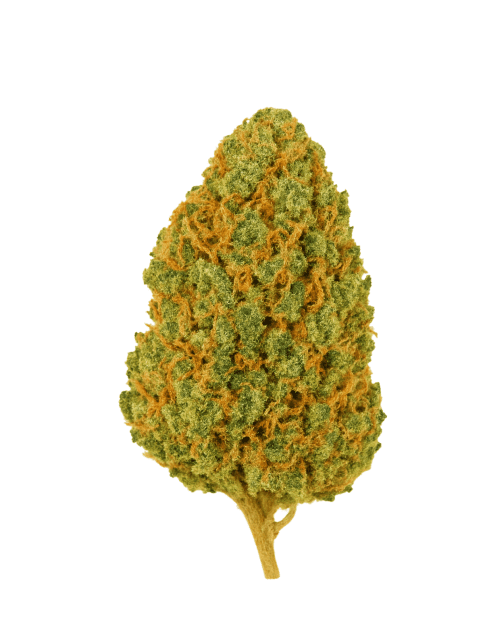 fleurs berry haze thvn10