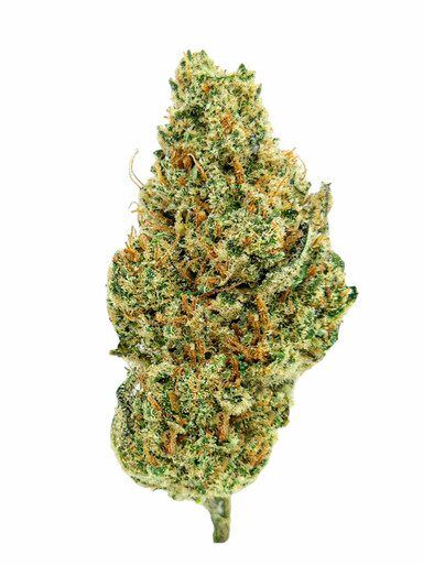 Gros bourgeon de cannabis compact, aux teintes vert clair et orangées, recouvert de trichomes cristallins.