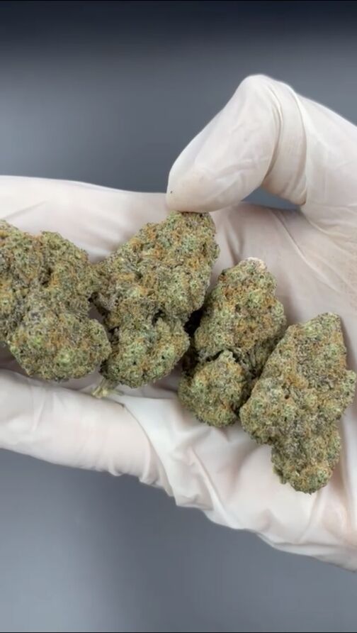 Blue Kush - Fleurs CBD – Image 2