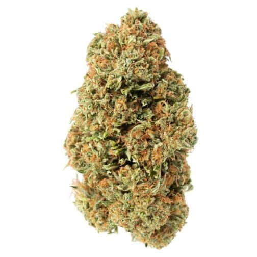 tête de fleurs de chanvre compact, vert avec de nombreux pistils orangés et une couche de trichomes.