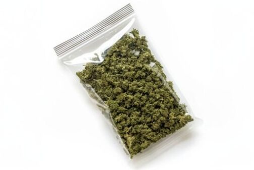 Un sachet en plastique transparent renfermant des végétaux séchés de couleur verte.