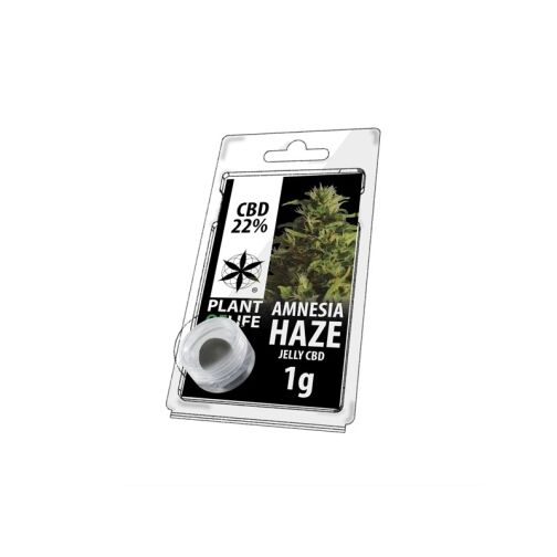 Résine CBD Jelly Amnesia Haze 22 % en blister transparent, avec pot blanc et visuel de plante de chanvre sur l’emballage.
