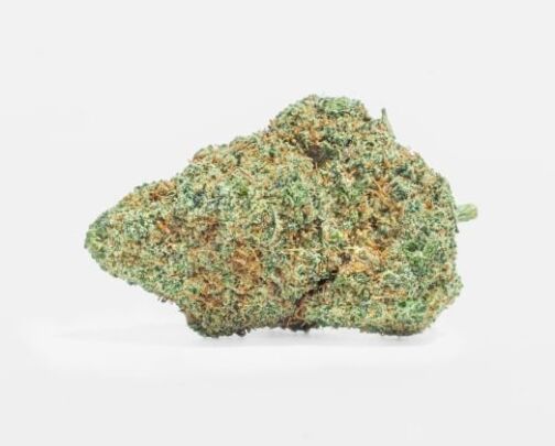 Une petite fleur de chanvre verte, compacte, avec des pistils orangés et aspect givré.