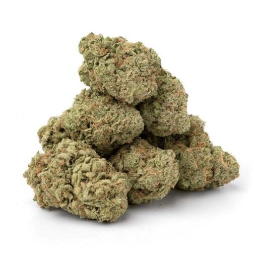 Plusieurs fleurs de chanvre vert clair, rassemblées en un tas, avec des pistils orangés.