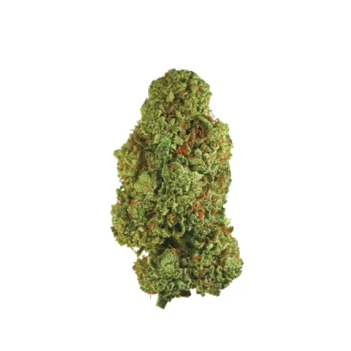 Gros bourgeon de cannabis vert dense avec des pistils orangés, isolé sur fond blanc.