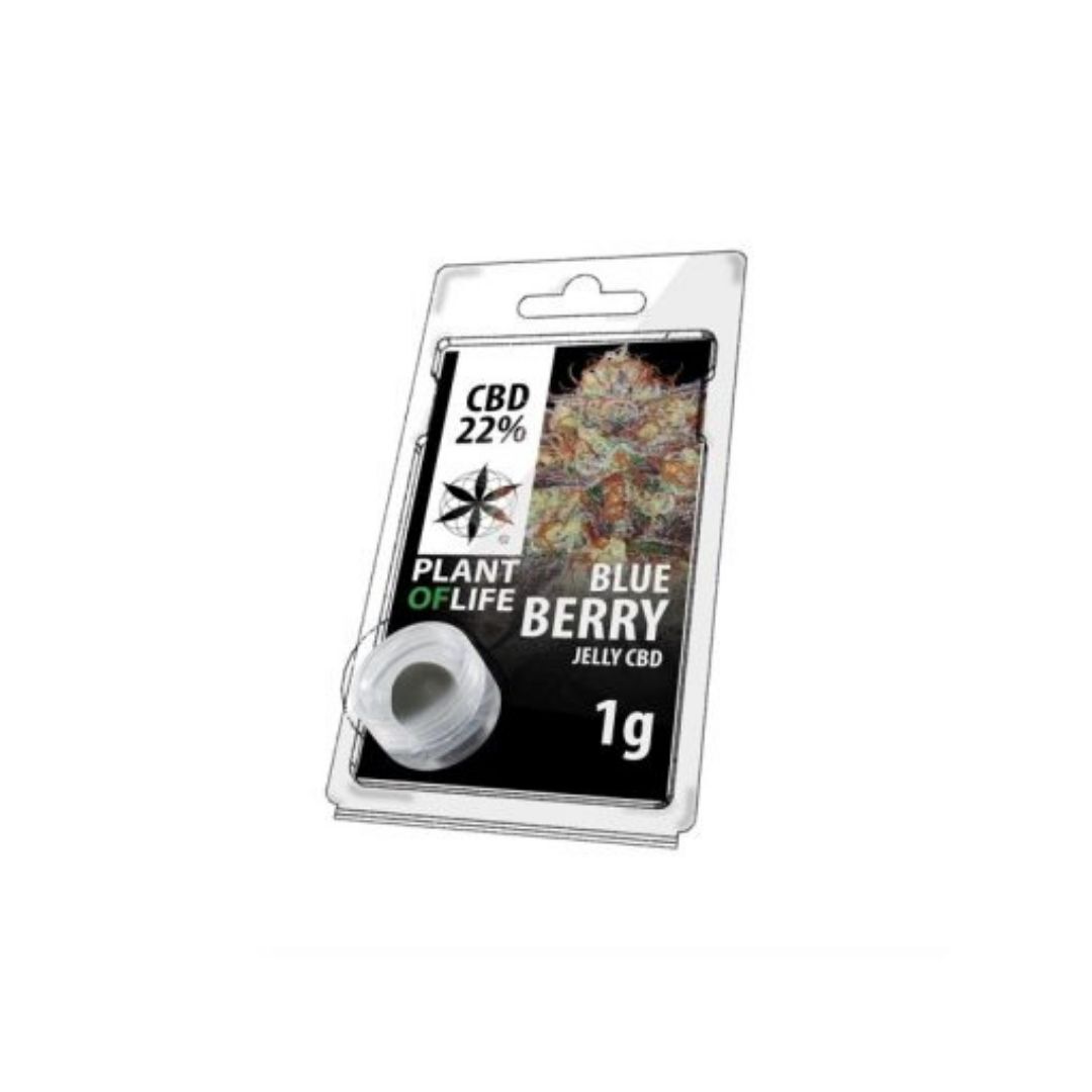 Un blister transparent affichant « CBD 22 % », « Plant of Life », « Blue Berry » et contenant un petit pot.