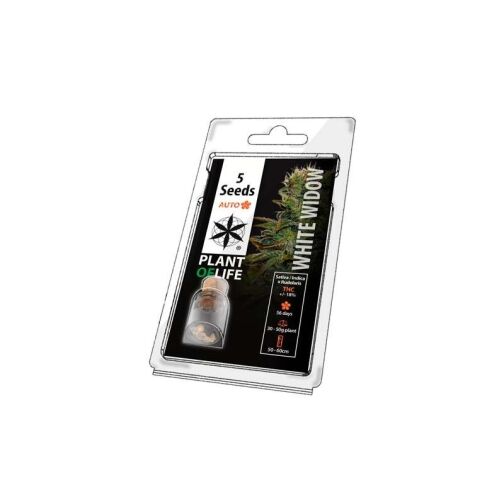 Emballage contenant 5 graines de cannabis White Widow Auto de Plant of Life. L'étiquette mentionne des informations sur la variété, notamment son origine hybride Sativa/Indica, sa teneur en THC, la durée de floraison et la taille des plantes.