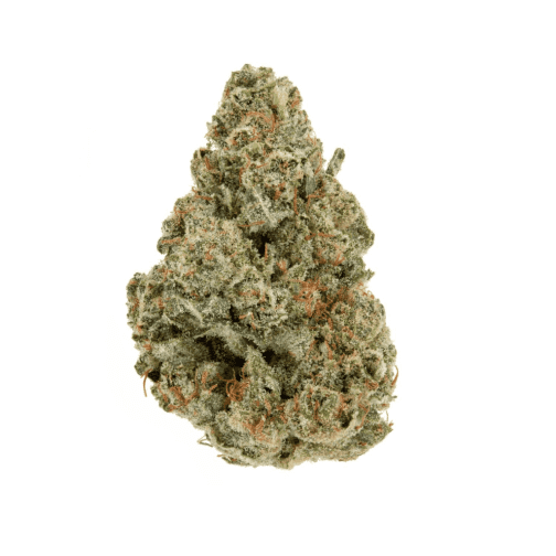 Gorilla Glue Fleurs THCP