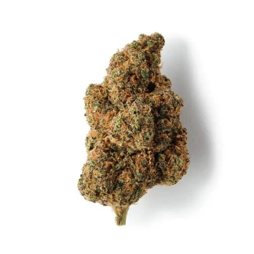 Une tête de chanvre allongée, vert sombre, couverte de pistils orange et de trichomes.