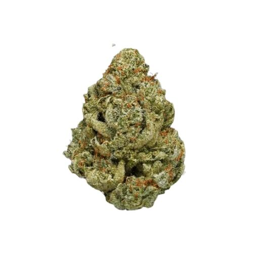 Bourgeon de fleur Gorilla Glue CBD, dense, vert clair avec des trichomes givrés et des pistils orangés.