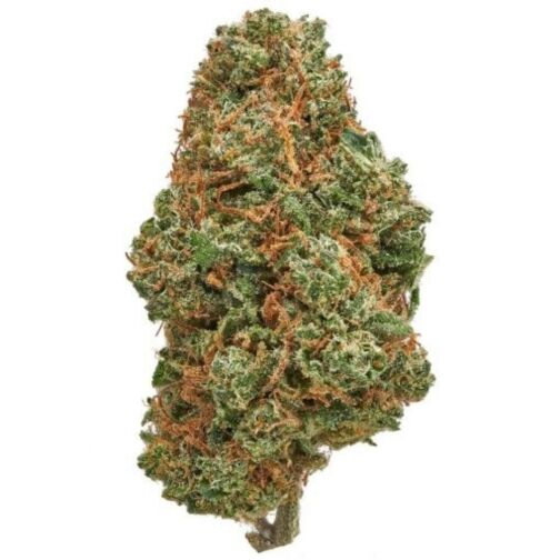 Bourgeon de fleur de cannabis dense, vert foncé avec des pistils orange vif et une fine couche de résine. Légende :