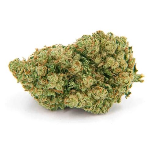 Fleur de cannabis compacte, couverte de trichomes, avec des nuances vertes et des pistils orange.