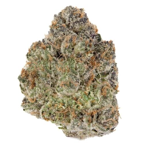 Grosse tête de cannabis dense avec des nuances vertes, violettes et des trichomes givrés.