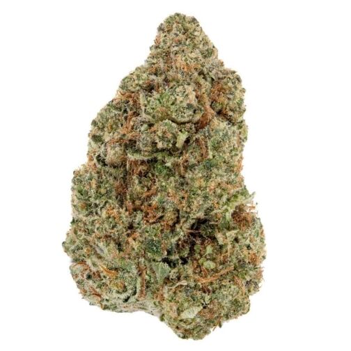 Gros bud de fleur séchée, vert foncé avec des pistils orange et des trichomes visibles.