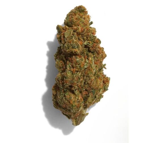 Une tête de chanvre allongée, ornée de pistils orange vif.