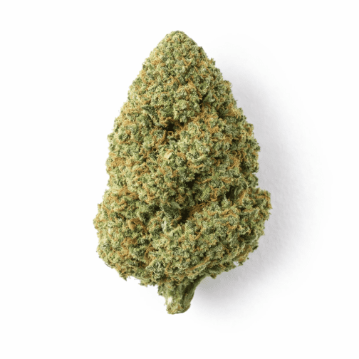 Fleur de chanvre type CBD