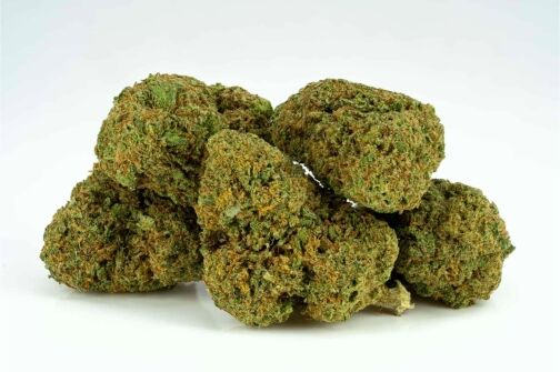 Sour Lifter USA CBD