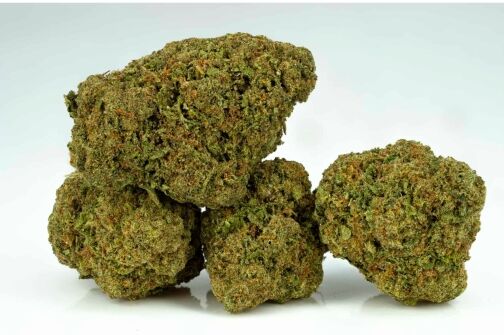 Critical Berry CBDX