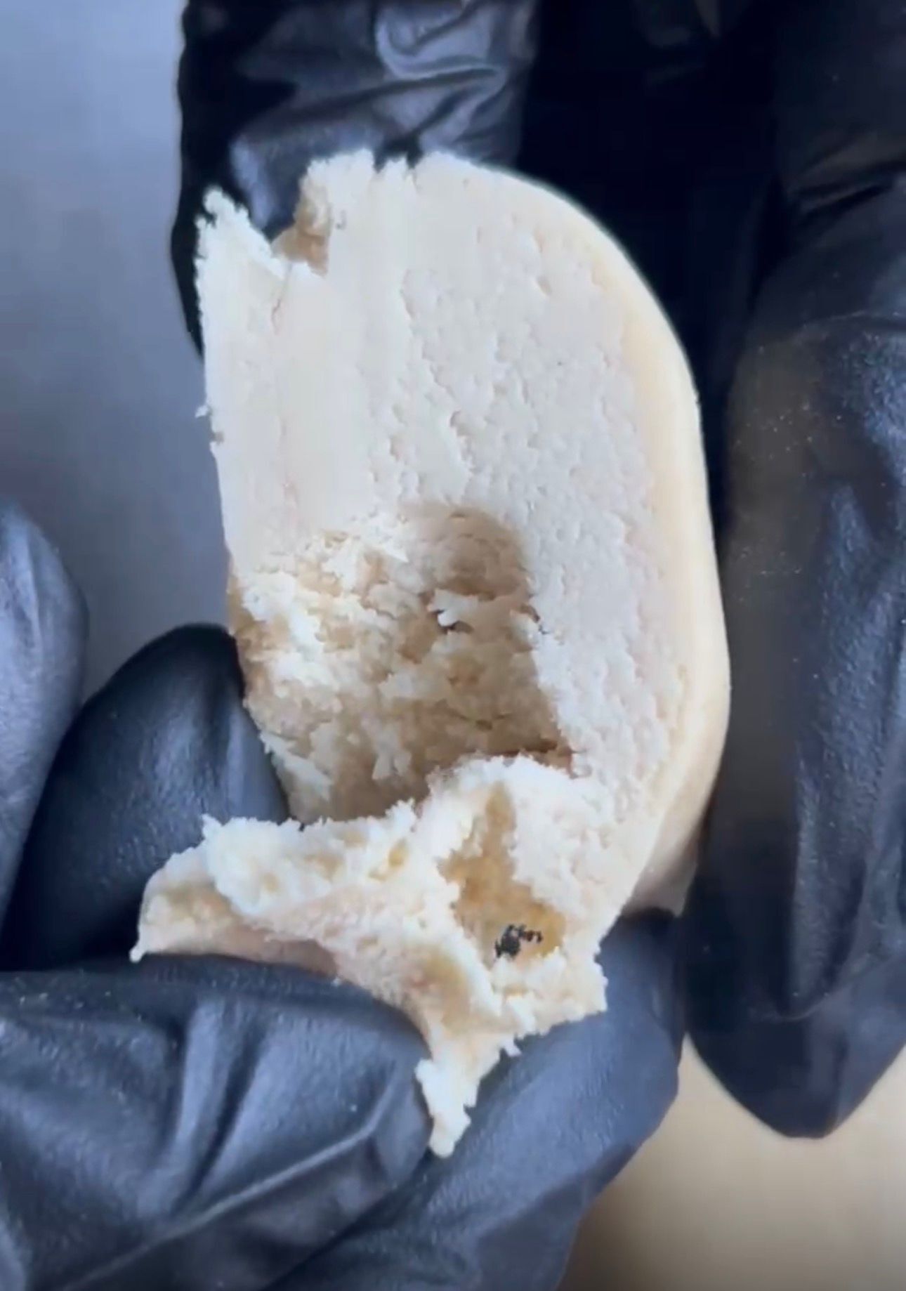 White Piatella CBDX