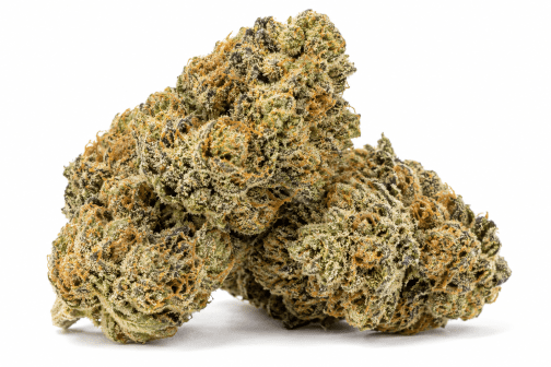 Fleur Angel Cake CBDX